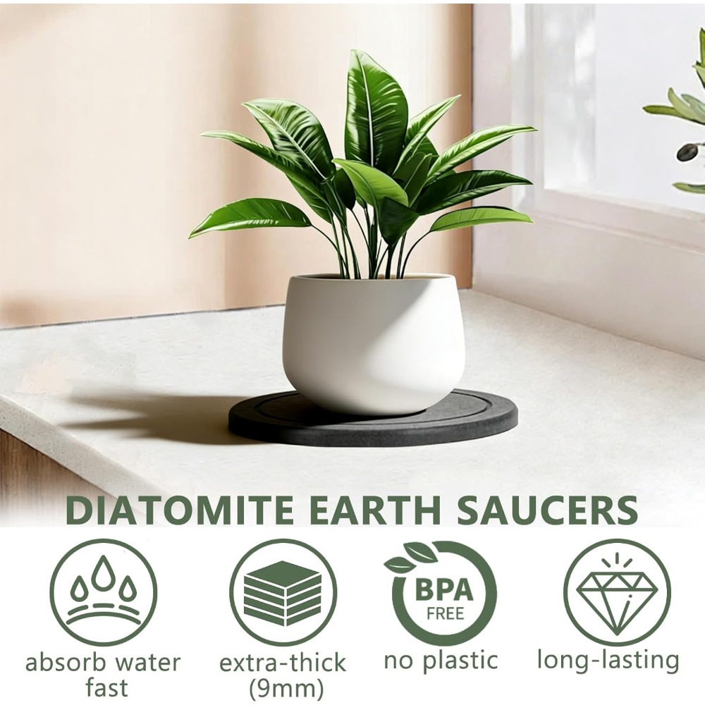 3Pcs/Set Diatomaceous Earth Pl - Drip Tray Saucer review and price