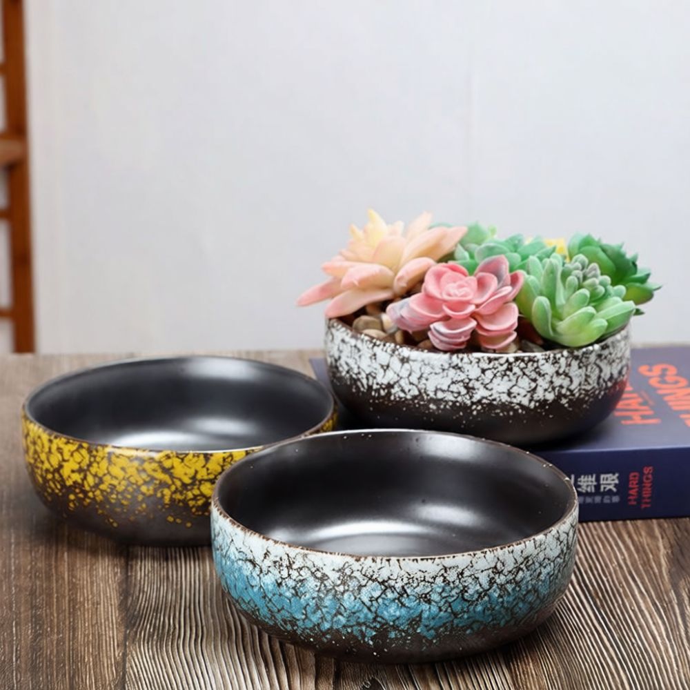 Large Mouth Ceramic Succulent  - Bonsai Garden Art review and price