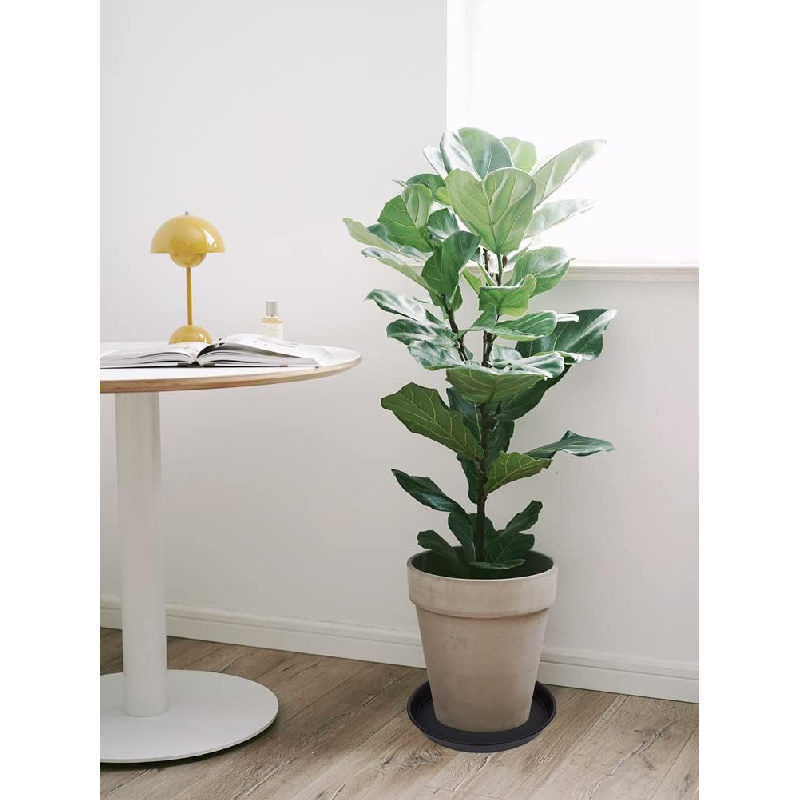 4Pcs Heavy Duty Plastic Plant  - Drip Tray Saucer review and price