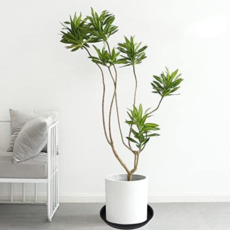 4Pcs Heavy Duty Plastic Plant  - Drip Tray Saucer review and price