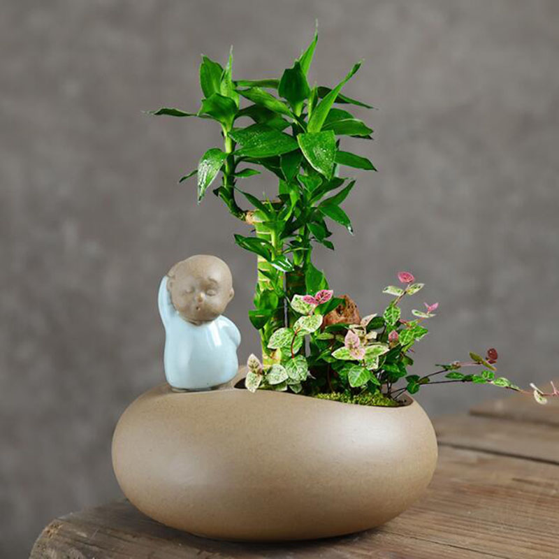 Chinese Style Retro Ceramic Mo - Bonsai Garden Art review and price