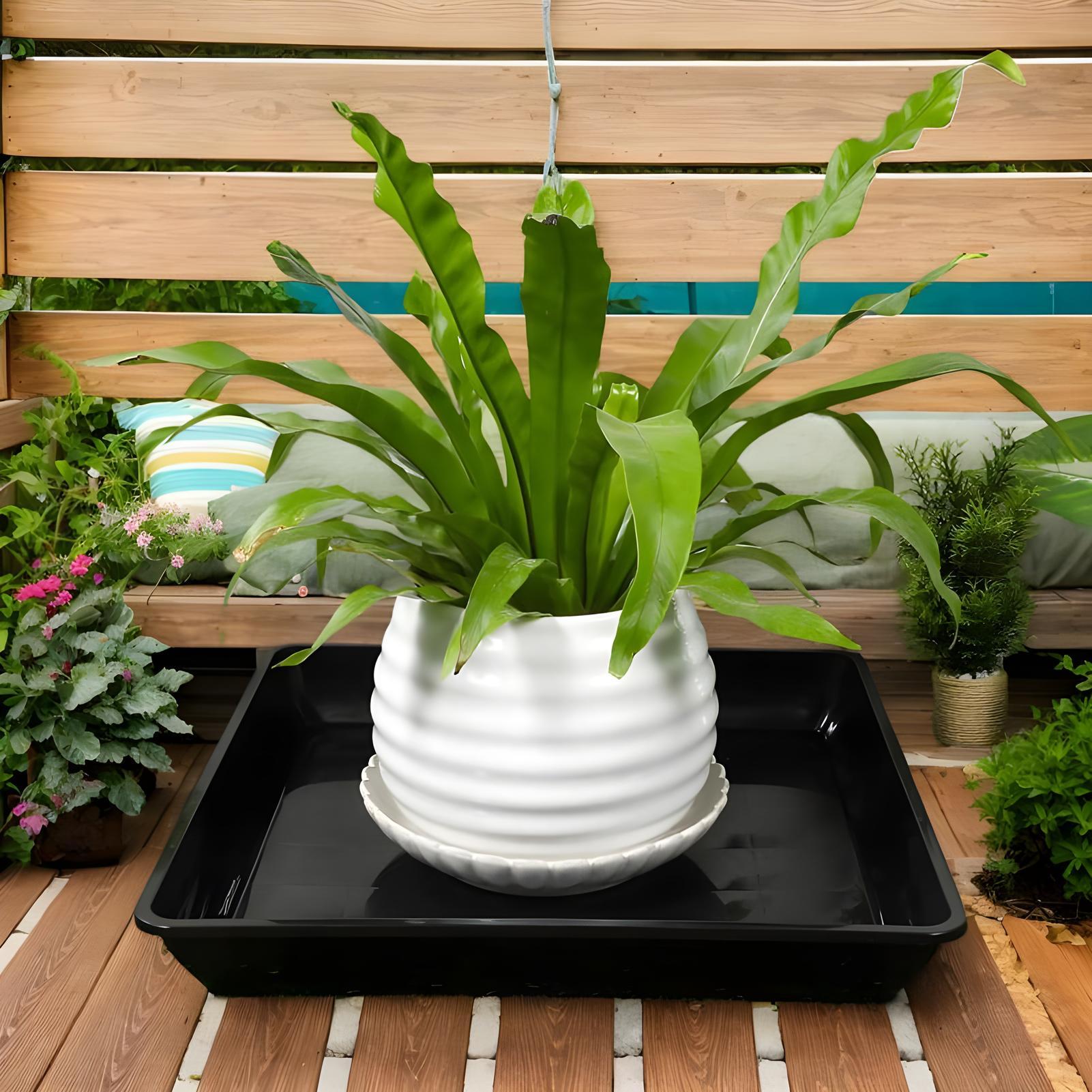 Plant Trays for Pots 2 Pieces  - Drip Tray Saucer review and price